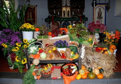  hejo 2007