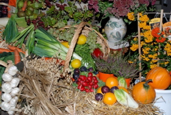  hejo 2007