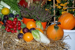  hejo 2007