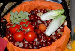  hejo 2007
