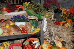 hejo 2007