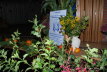 12)20070925 (25 Jahre Frderverein)