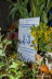 13)20070925 (25 Jahre Frderverein)