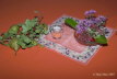26)20070925 (25 Jahre Frderverein)
