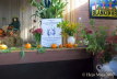 45)20070925 (25 Jahre Frderverein)
