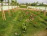 46  BuGa2011
