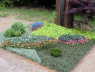 50  BuGa2011